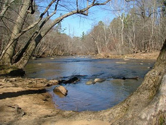 View from this Eno River Trail